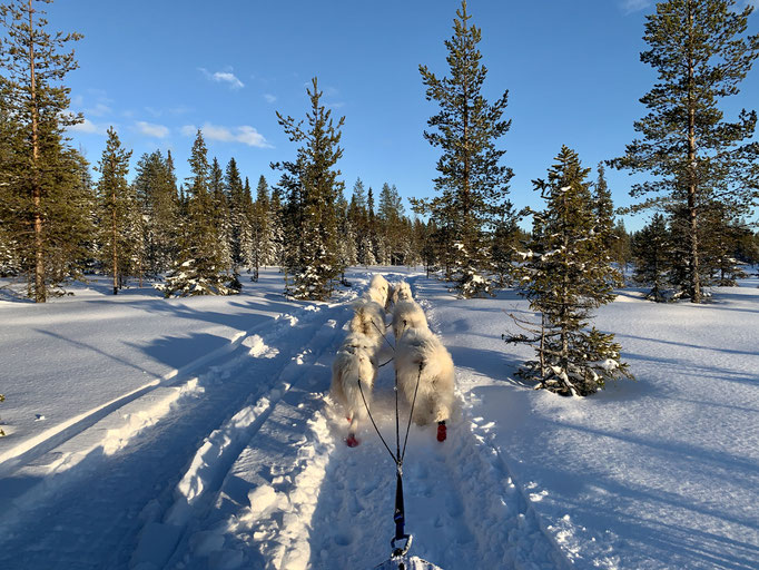 am Trail 