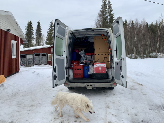 Snowy hilft mir beim Packen