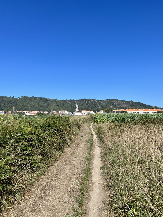 der besagte Feldweg