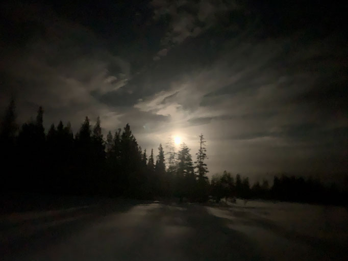 Nachtfahrt im Mondlicht 