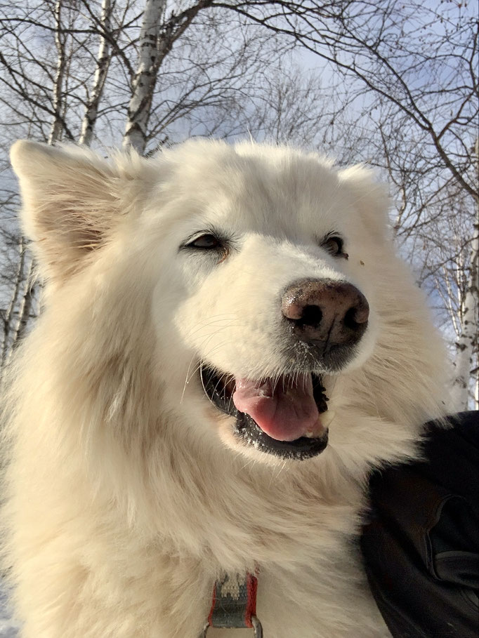 Snowy
