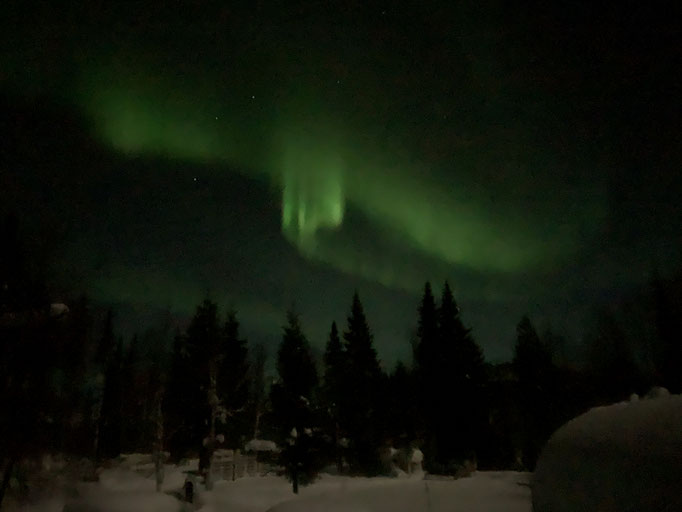 Nordlicht