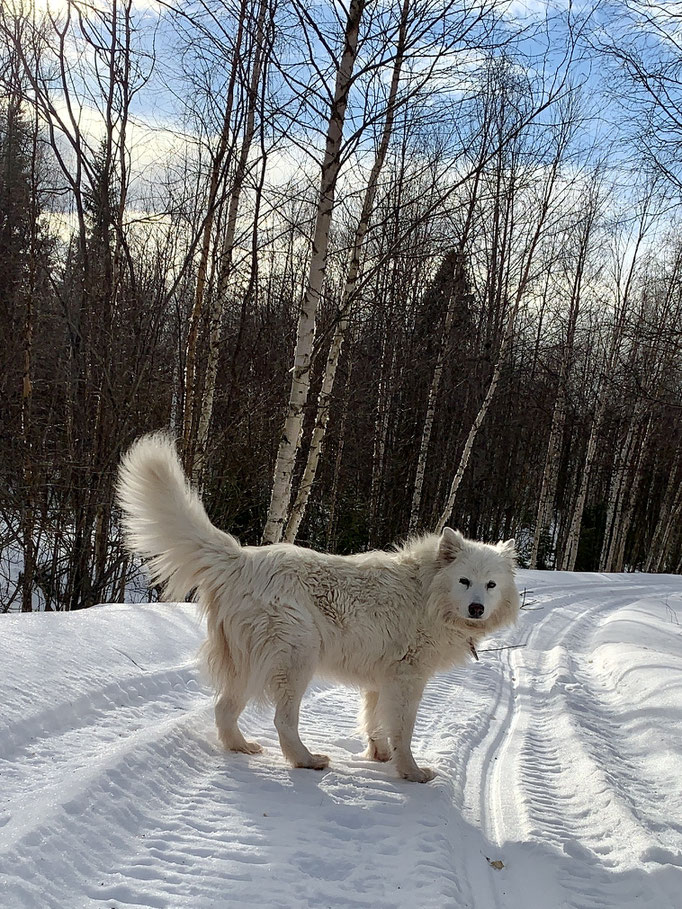 Snowy