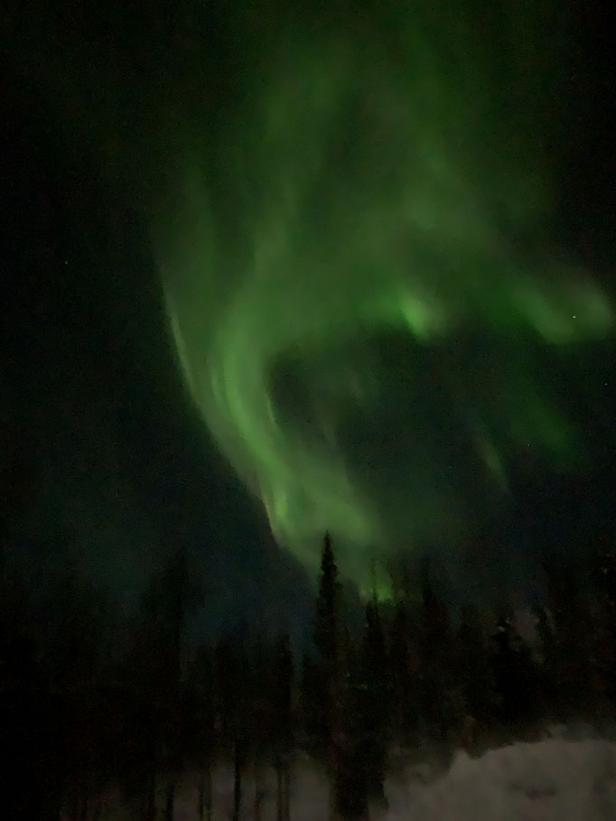 Nordlicht