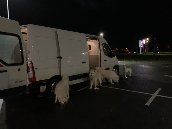 Ankunft in Trelleborg am 16.01. um 06:00
