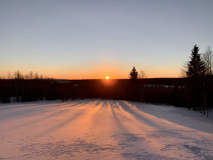 Morgenstimmung