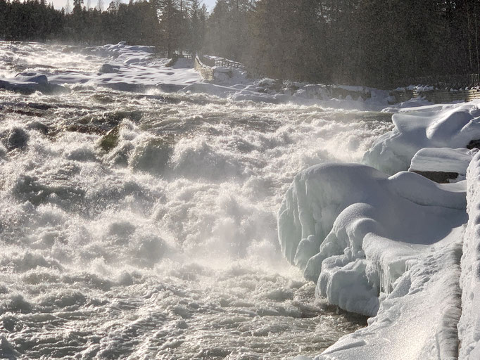 Storforsen 