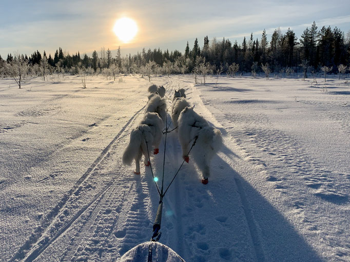 am Skoterled