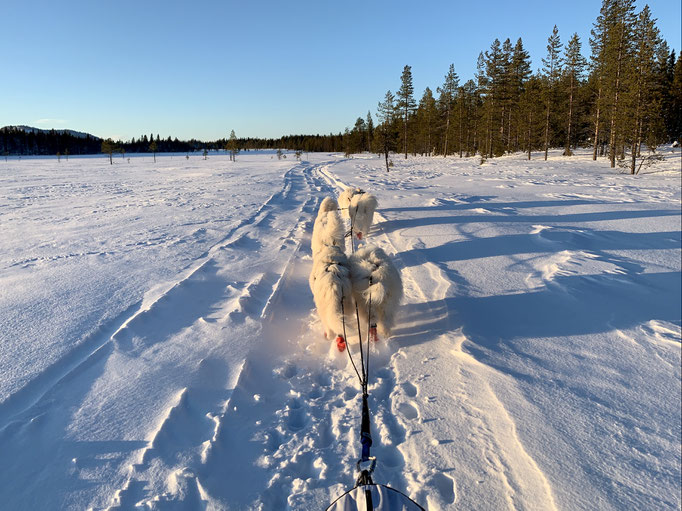 am Trail 