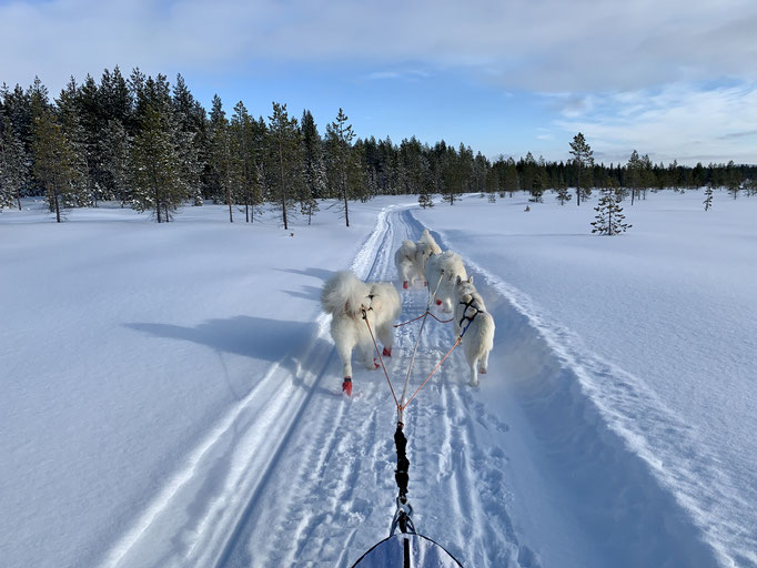 am Trail