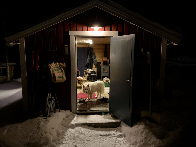 Snowy in der Hütte 