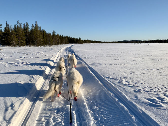 am Trail 