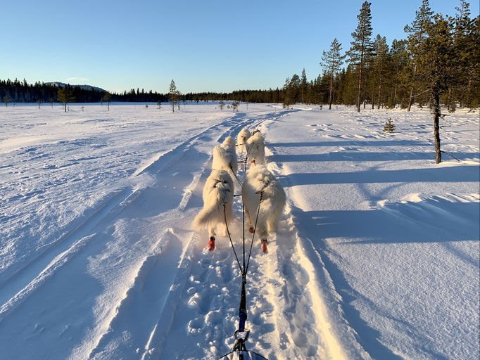 am Trail 