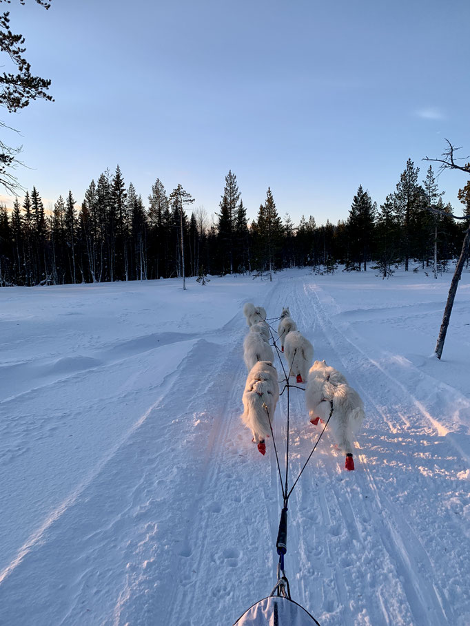 am Trail 