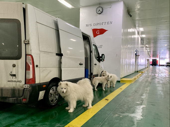  Buck, Visa und Yukon