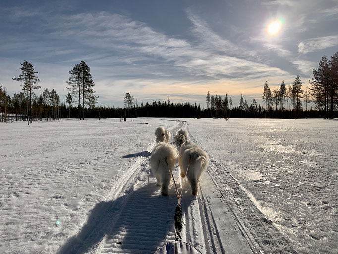 am Trail