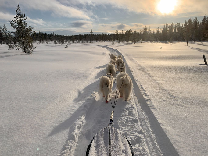 am Trail 