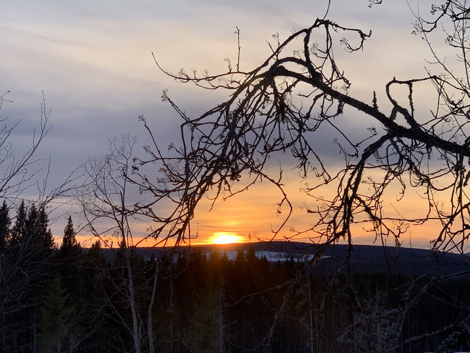 Abendstimmung 