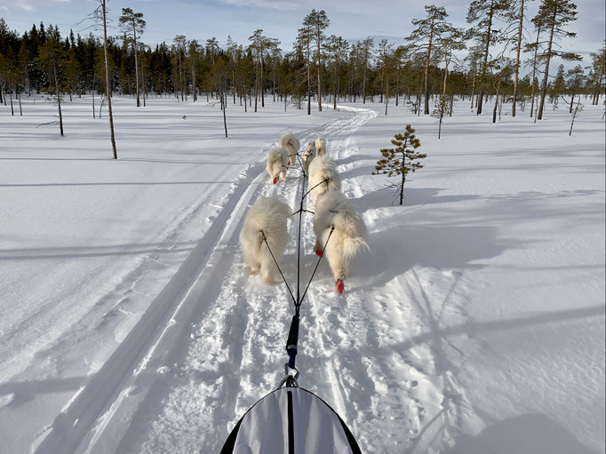 am Trail 