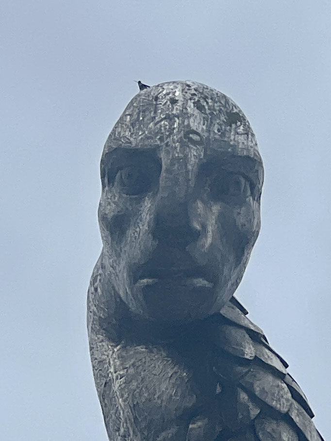 O Sereo (Die Sirene)