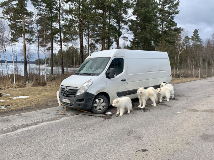 zweiter Stopp in Ljusne
