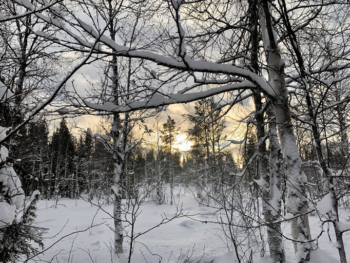 am Skoterled