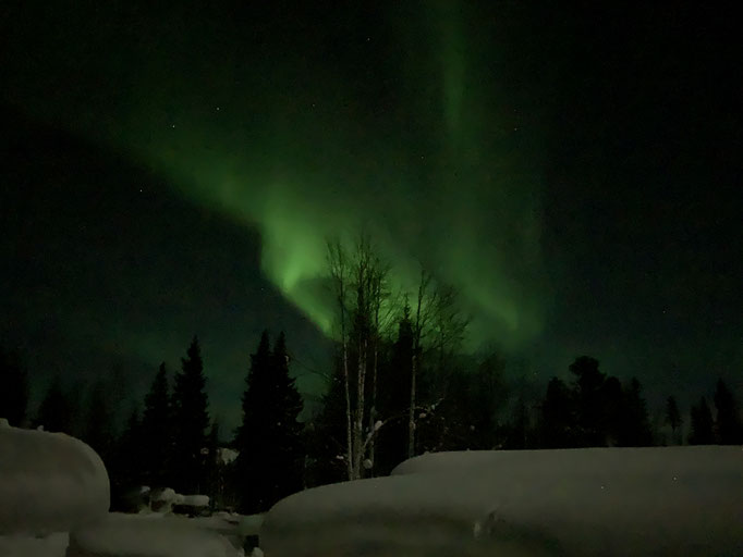 Nordlicht