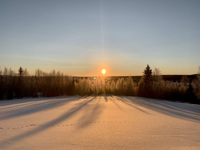 Morgenstimmung 
