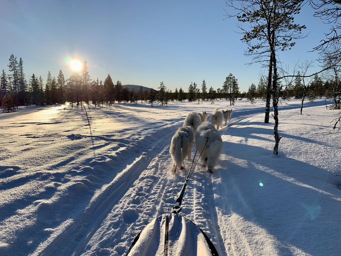 am Trail