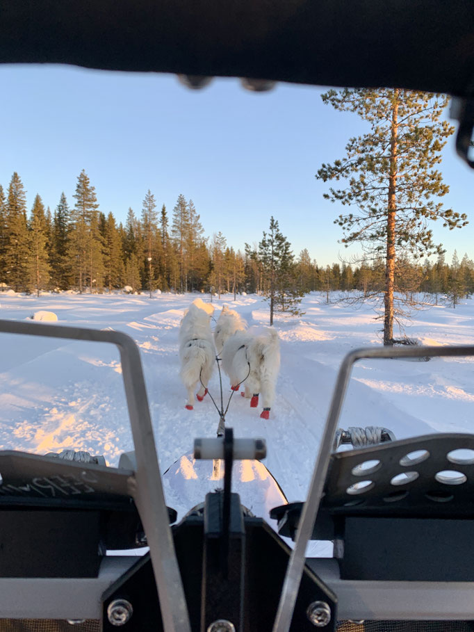 am Trail 