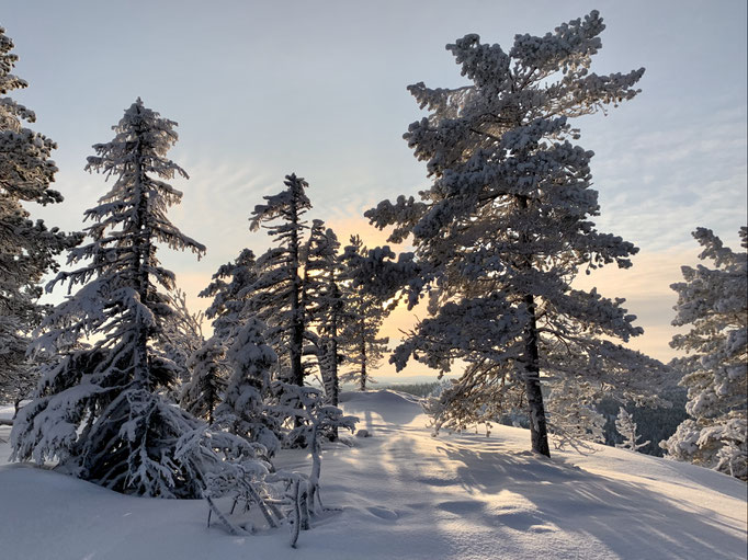 Schneeschuhwanderung 