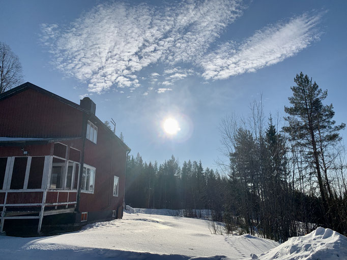 Degerträsk am Morgen