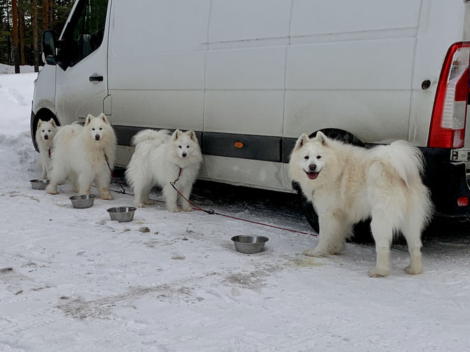 Parkplatz Storforsen