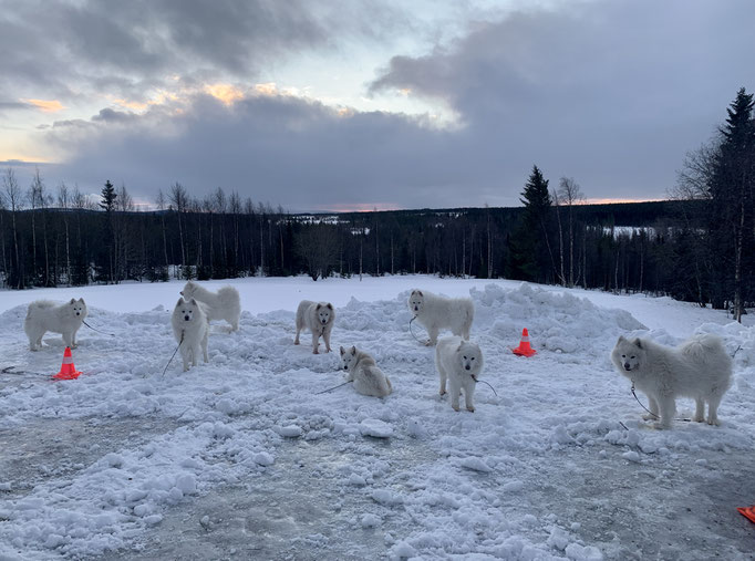 Stakeout nach dem Schnee einschaufeln