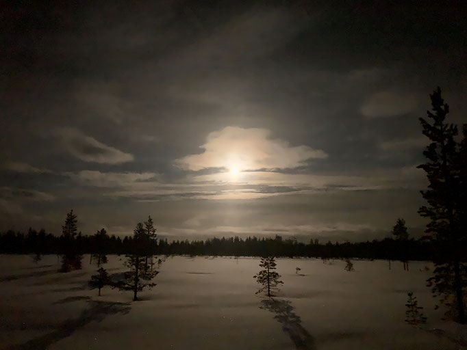 Nachtfahrt im Mondlicht 
