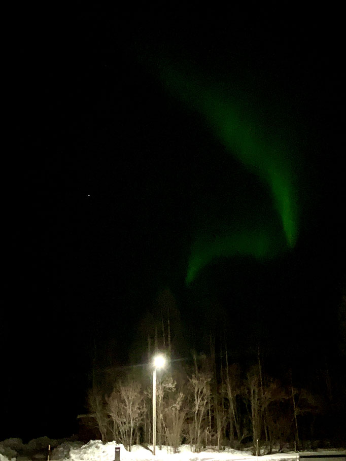 zum Abschied nochmals ein Nordlicht