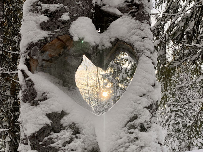 ein Herz in Lappland 