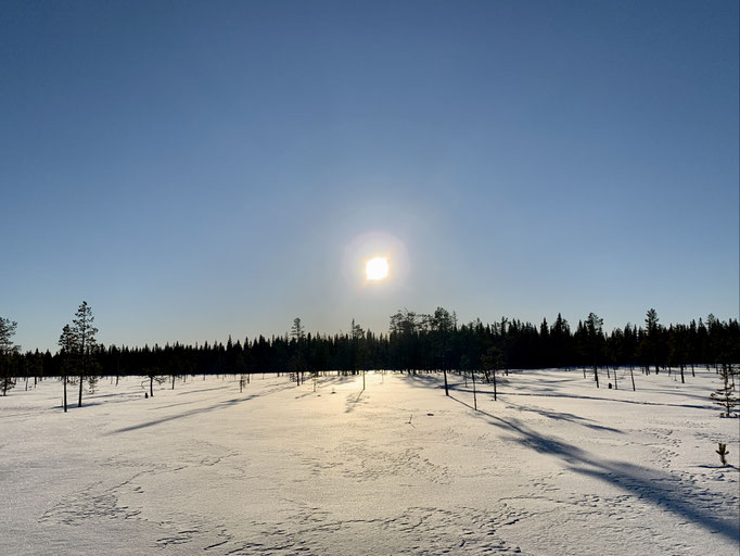 am Trail 