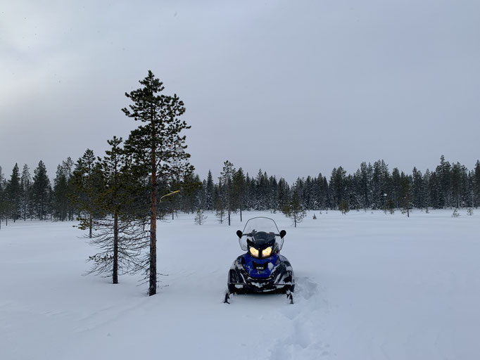 am Trail