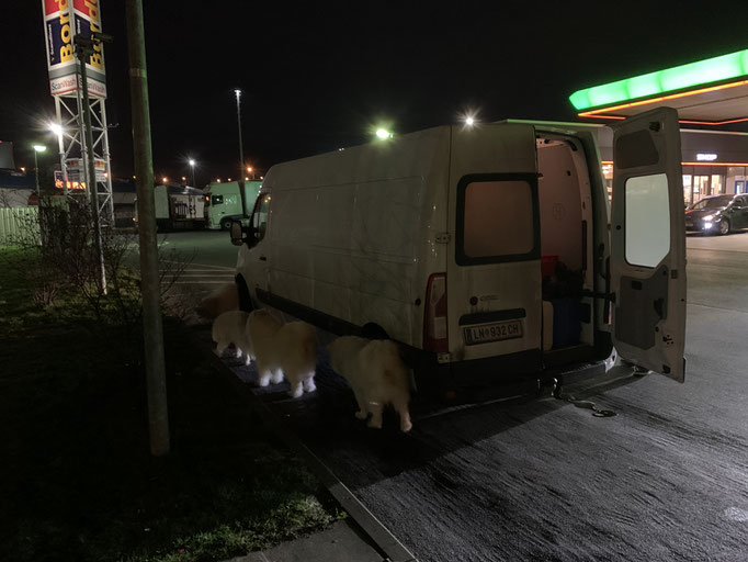 Ankunft in Rostock am 09.02. um 06:00