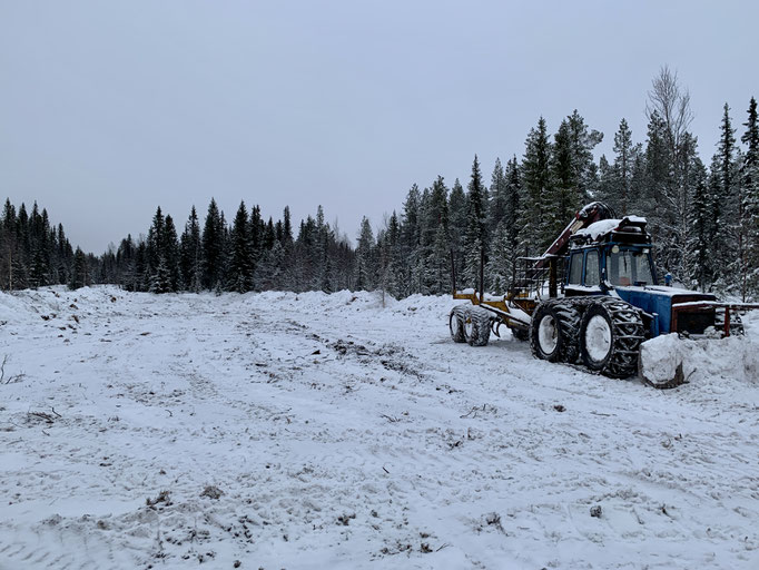 Vorbereitungen für die nächsten Holzschlägerungsarbeiten