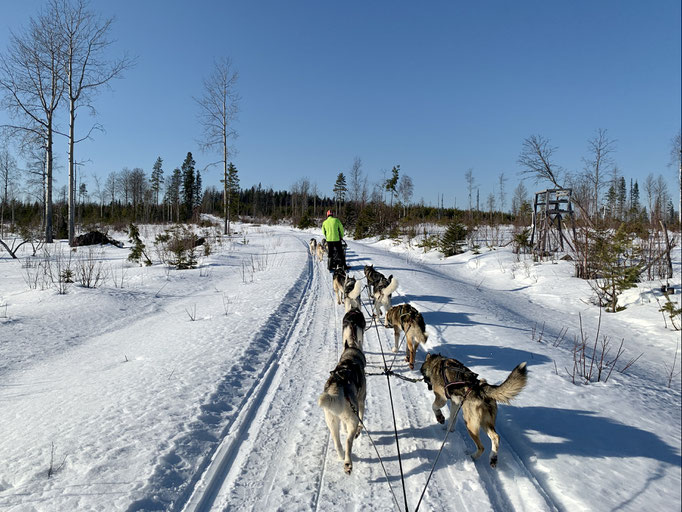 am Trail 