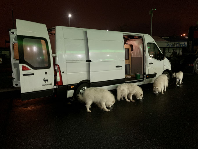 Abendessen für die Teddybären in Rostock 