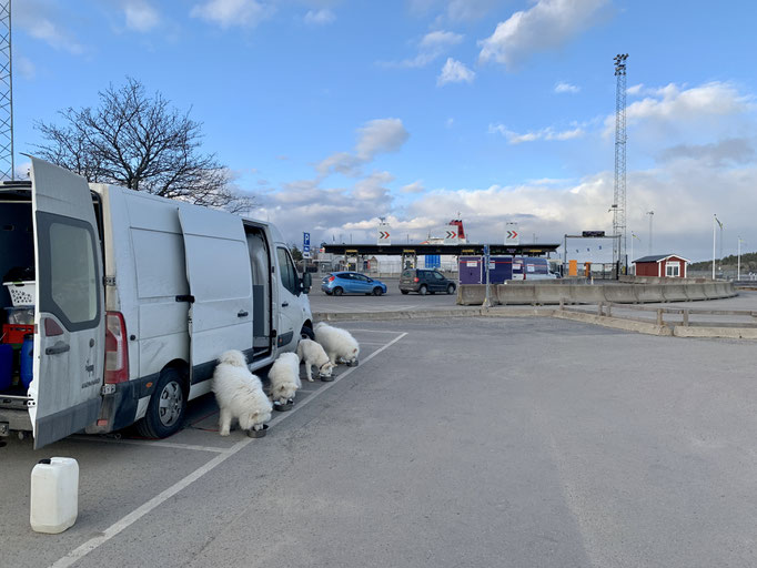 Ankunft in Nynäshamn 