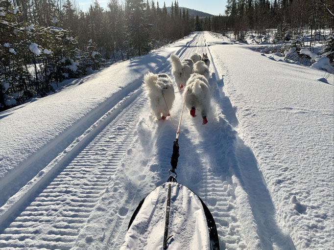am Trail
