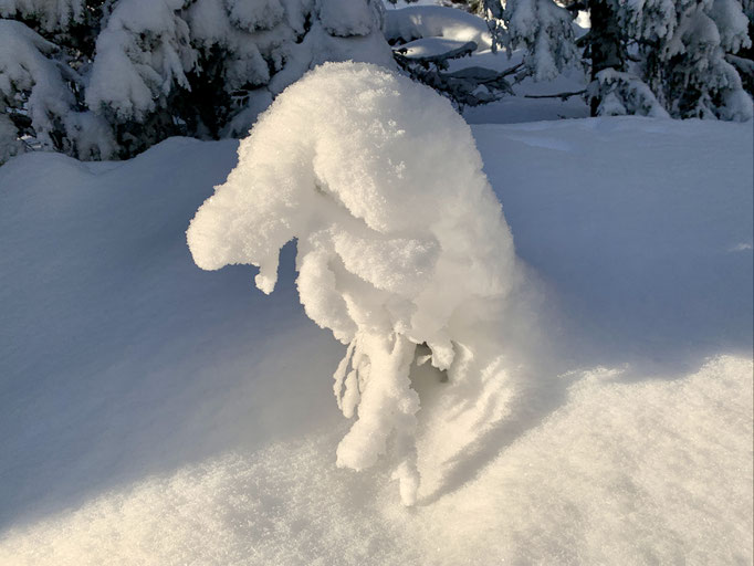 eigenartiges Schneegebilde am Hemberget 