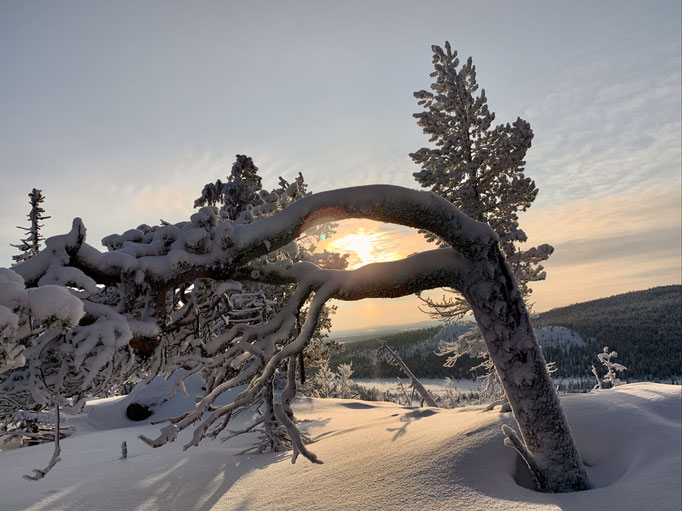 Kvickmyrberget