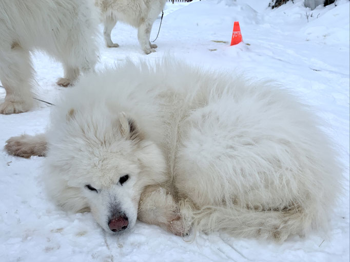 Yukon