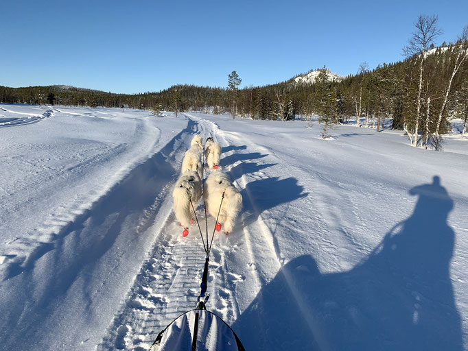 am Trail