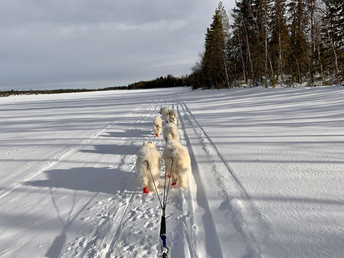 am Trail 